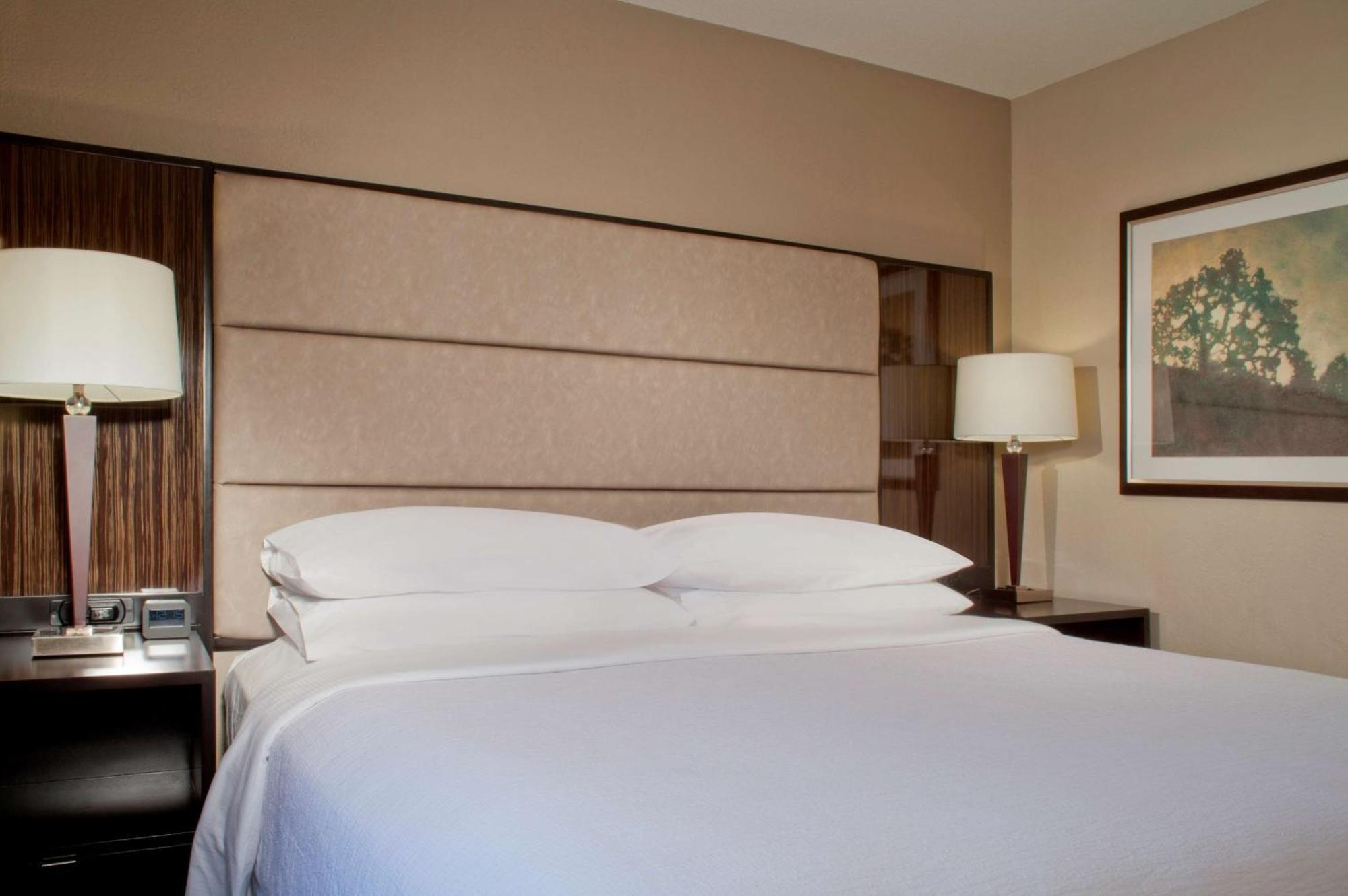 Embassy Suites By Hilton Houston Near The Galleria Buitenkant foto